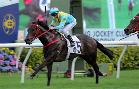 Jockey Club expects Hong Kong racing season opener to go ahead as ...