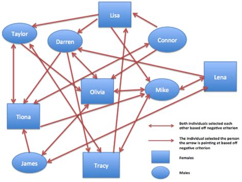 Sociogram Definition, Example & Template - Video & Lesson Transcript | Study.com