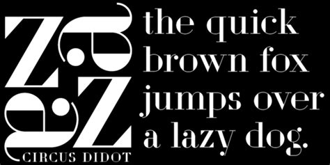 Didot Bold Font | xFonts.pro