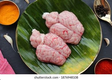 Uncooked Goat Brain Bheja Mutton Brainperfect Stock Photo 1876948108 ...