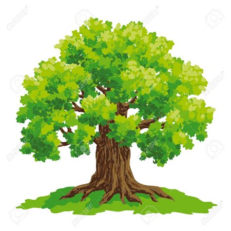 Oak Trees Drawing at GetDrawings | Free download