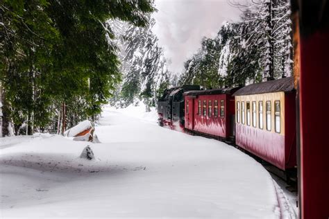 4 Beautiful Train Rides to See the True Wonder of Winter - Midwest Industrial Supply