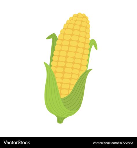 Corn yellow flat icon food natural Royalty Free Vector Image