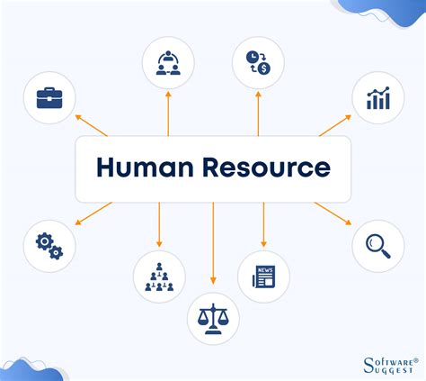 A Practical Guide to HR Department Structures