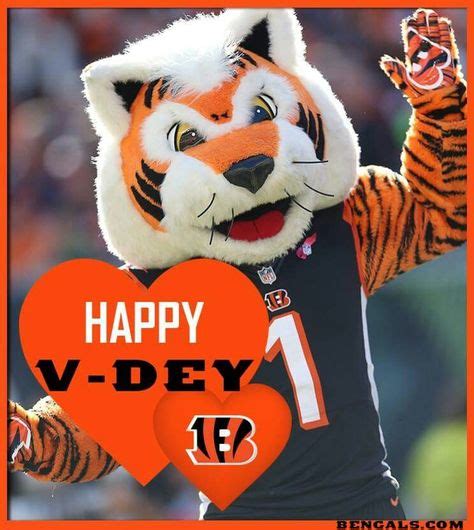 Cincinnati Bengals Mascot | The Bengals | Pinterest | Cincinnati and ...