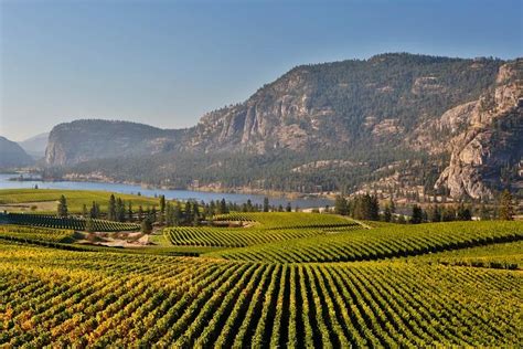 2023 Oliver and Osoyoos Wine Tour from Kelowna - 4 Wineries