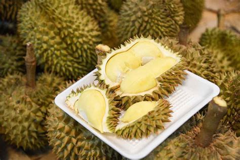 What Is Durian Fruit? - Nutrition Advance