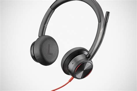 With Poly Blackwire 8225 USB Headset, Your Receiving End Won’t Hear Your Dog Barking