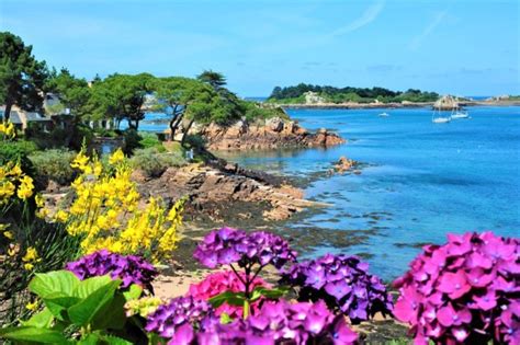 Baie de Saint‑Brieuc - Paimpol à explorer avec un guide conférencier