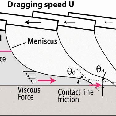 Illustration of the calculation of capillary force | Download ...