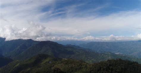 Junín: reconocen a "La Niebla Forest" como nueva área de conservación privada