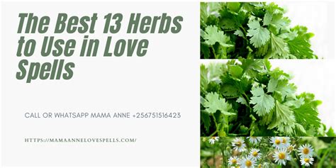 The Best 13 Herbs to Use in Love Spells - Mama Anne Love Spells