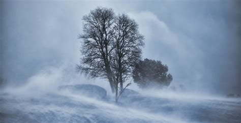 Chinook brought wind gusts of nearly 200km/h to parts of Alberta | News