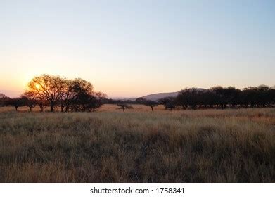 African Savannah Sunset Stock Photo 1758341 | Shutterstock