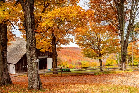 Pomfret, Vermont Fall Foliage 2019 | Anthony Quintano | Flickr