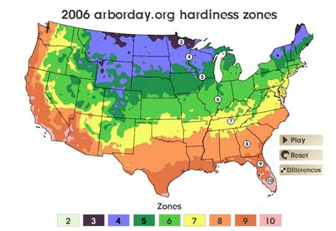 Have we warmed enough to plant that Zone 5 Japanese Maple? | Beds and Borders Landscape Design