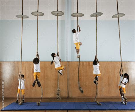 Children climbing ropes in school gym Stock Photo | Adobe Stock