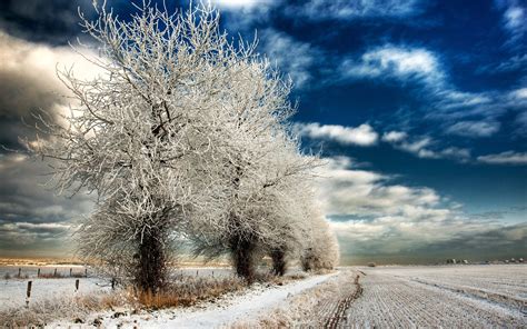 🔥 [60+] Winter Landscape Wallpapers for Desktop | WallpaperSafari