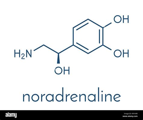 Norepinephrine (noradrenaline, norepi) hormone and neurotransmitter Stock Vector Art ...