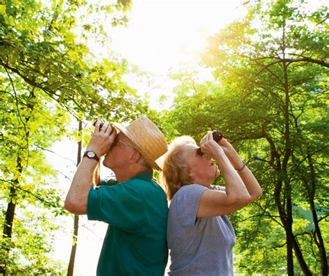 The Joys of Birdwatching: A Beginner’s Guide to Spotting and Identifying Birds in the Wild