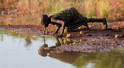 World Records Fewest Guinea Worm Cases in History of Eradication Campaign