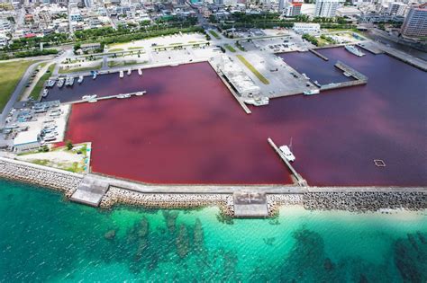 Beer Factory Leak Turns the Sea Red in Japan Resort City in Okinawa ...