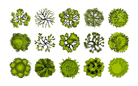 Plants Top View Vector PNG Images, Tree Top View Garden Plants, View, Arbol, Wood PNG Image For ...