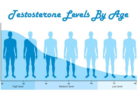 How Testosterone Levels Impact Your Body and Mind