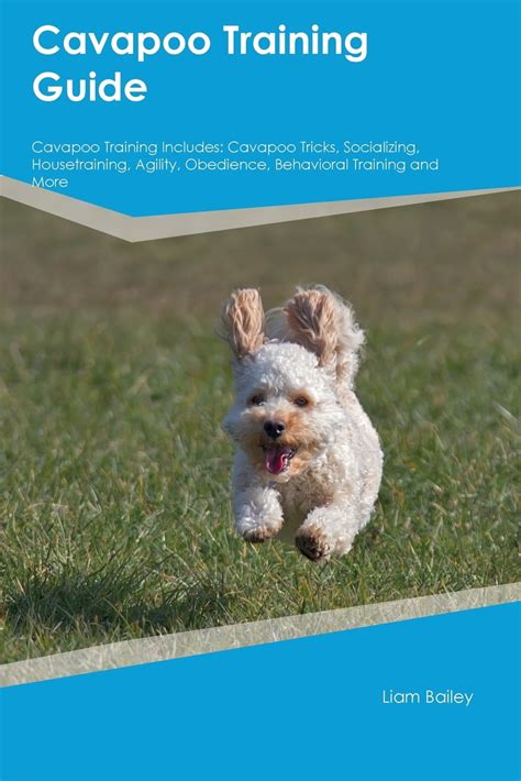 Cavapoo Training Guide Cavapoo Training Includes : Cavapoo Tricks ...