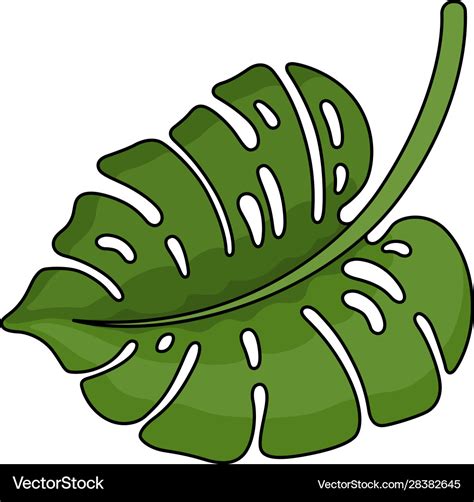 Tropical green leaf beautiful jungle big foliage Vector Image