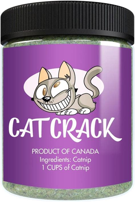 The Best Catnip for Cats: Indulging Your Kitty's Fun Side