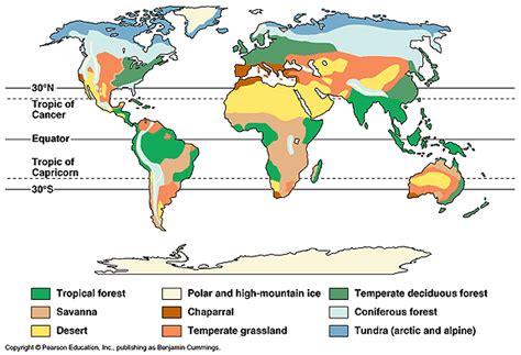 2.4 Rainforests & Deserts - GEOGRAPHY FOR 2024 & BEYOND