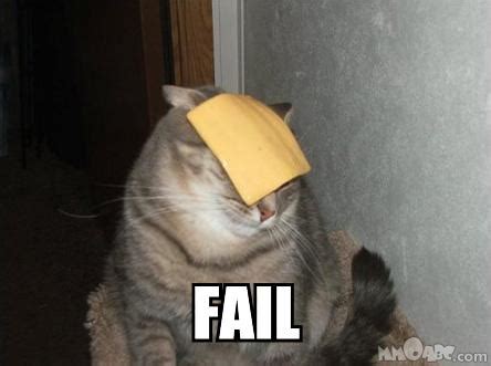 20 cat fails - Gallery | eBaum's World