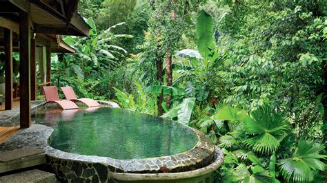 7 Luxurious Treehouses And Jungle Resorts To Invigorate The Senses - Vistara Magazine