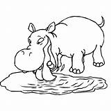 Free Printable Hippo Coloring Pages For Kids sketch template