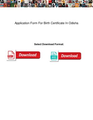 Fillable Online Application Form For Birth Certificate In Odisha ...