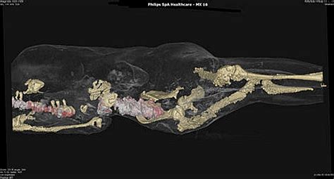 Incredible CT Scans Show Pompeii Victims “In Good Health ...