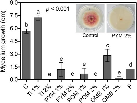 Frontiers | Control of Fusarium graminearum in Wheat With Mustard-Based Botanicals: From in ...