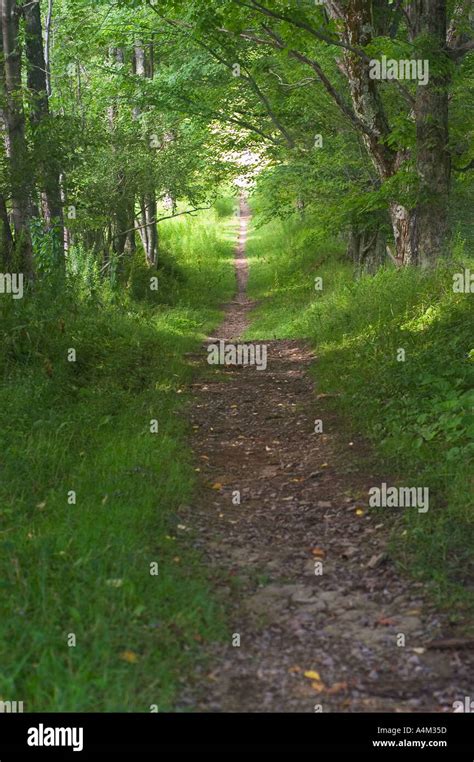 Hiking Trail West Virginia Stock Photo - Alamy