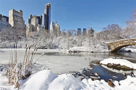 1920x1080px, 1080P free download | After a Snowstorm in New York, New ...