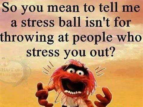 Stress ball.... | Stress balls, Funny quotes, Haha funny