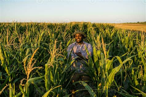 Farmer is standing in his growing corn field. 23256713 Stock Photo at Vecteezy