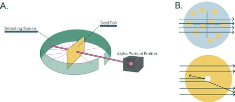 The History of the Atomic Model: Rutherford and Bohr