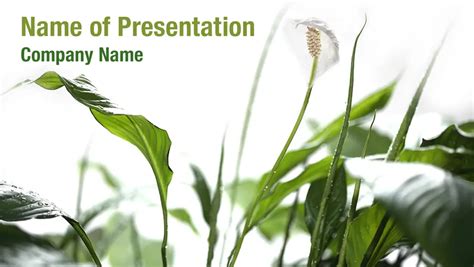 Green Plants PowerPoint Templates - Green Plants PowerPoint Backgrounds ...