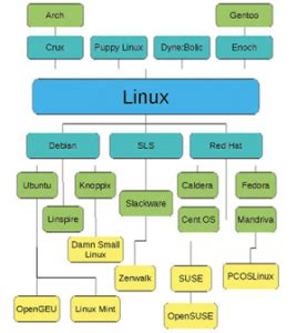 The Distributions of Linux