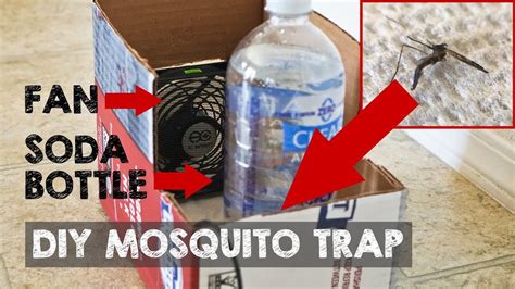 Homemade Mosquito Trap Indoor - Homemade Ftempo