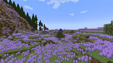 Lavender Field | Biomes O' Plenty Wiki | Fandom