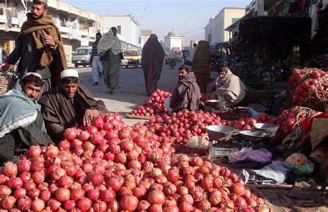 UN provides $58 million grant to improve Afghan food security in rural ...