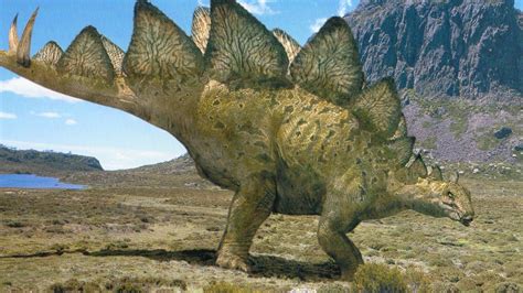 "Kung Fu" Stegosaurus Had Deadly Fighting Moves