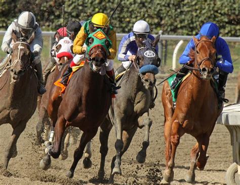 Drug Increases Risk of Sudden Death in Racehorses | Horse Journals